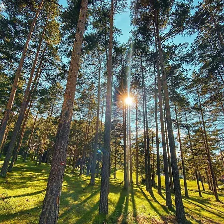 شقة Balkanhill2 S37 Pekovic *